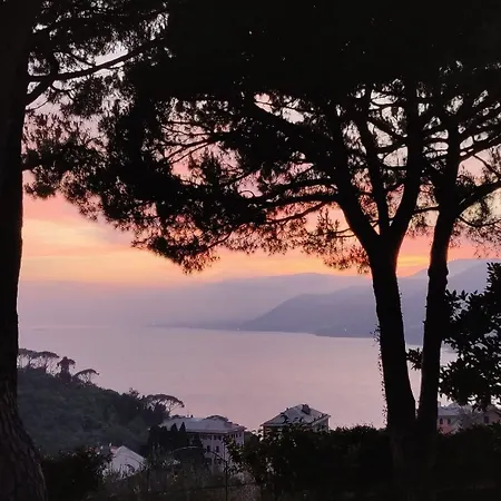 Casa Ninni Bed & Breakfast