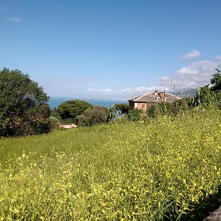Casa Ninni 4* Camogli